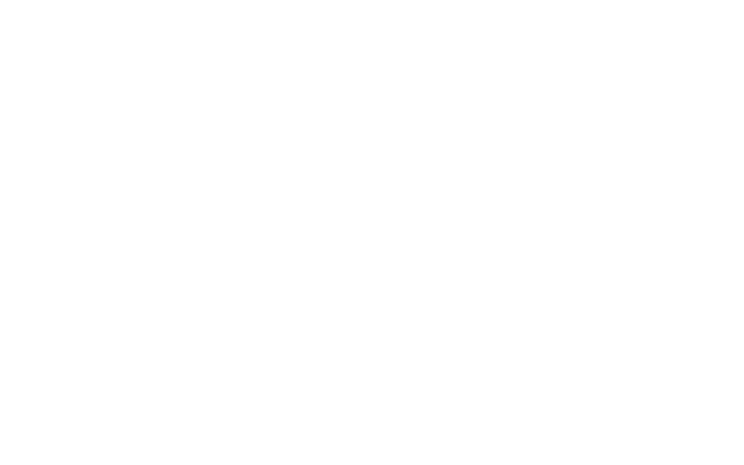 Delli Logo white